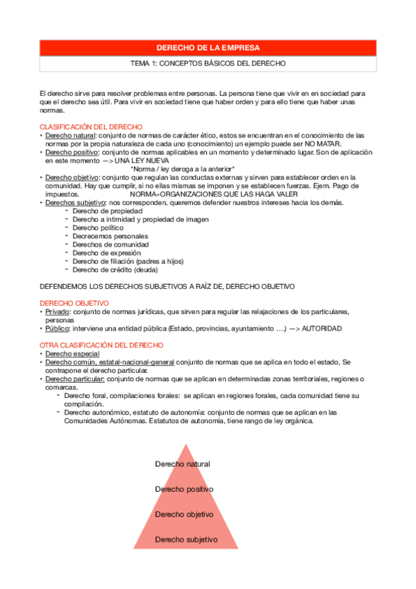 Miniatura del documento DERECHO-APUNTES.pdf