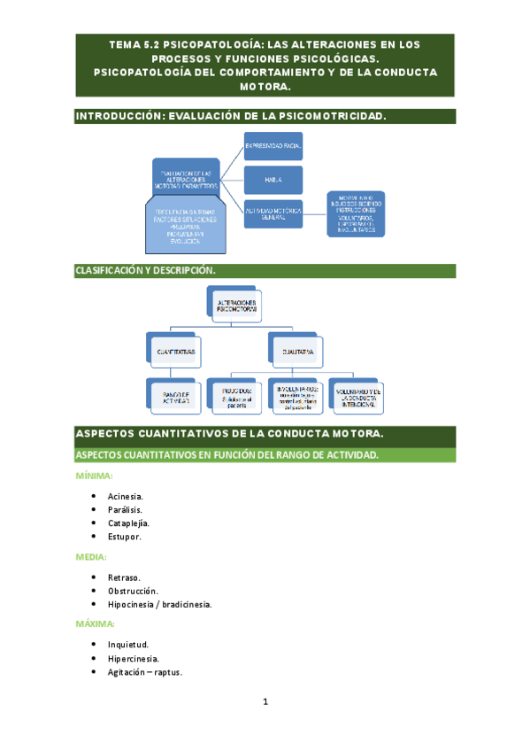 Miniatura del documento TEMA-5.2-y-5.3-PSICOPATOLOGIA.pdf