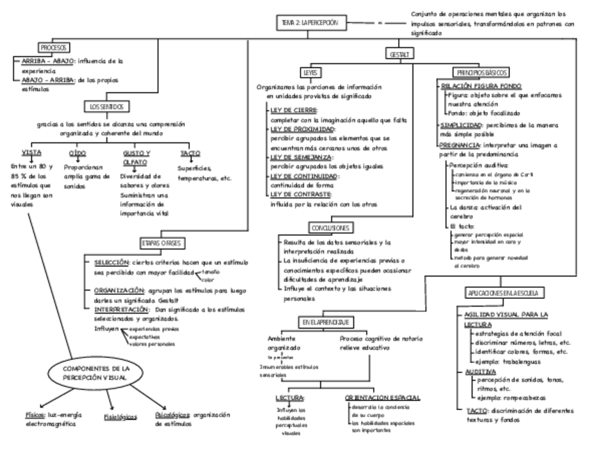 Miniatura del documento mapa-mental-t2.pdf