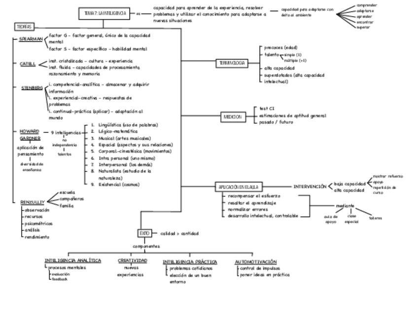 Miniatura del documento mapa-mental-t7.pdf