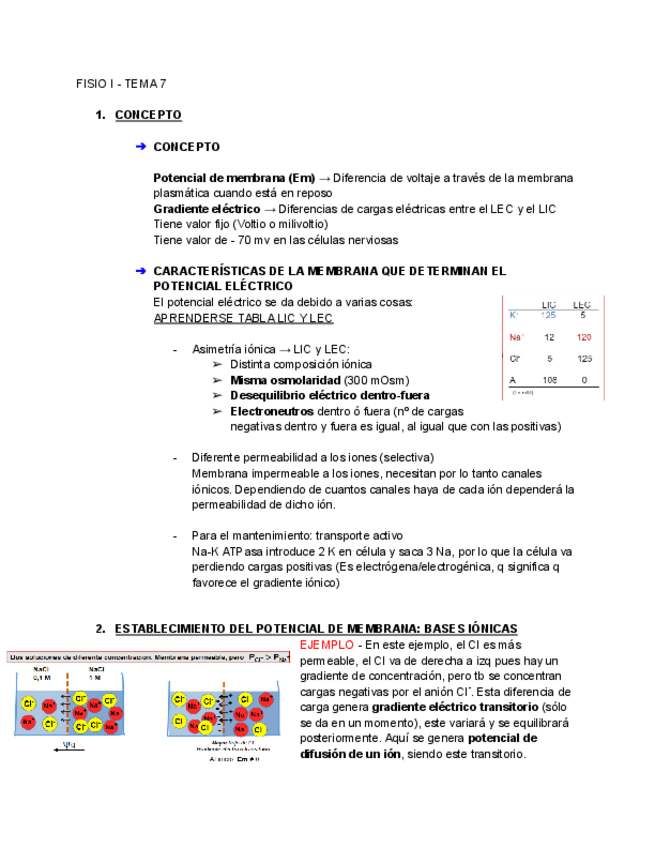Miniatura del documento FISIO-I-TEMA-7-Google-Docs.pdf