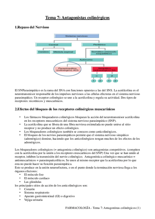 Miniatura del documento Tema7AntagonistasColinergicos.pdf