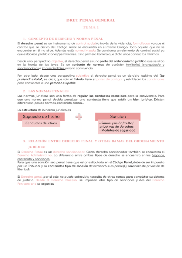 Miniatura del documento DRET-PENAL-GENERAL-1.pdf