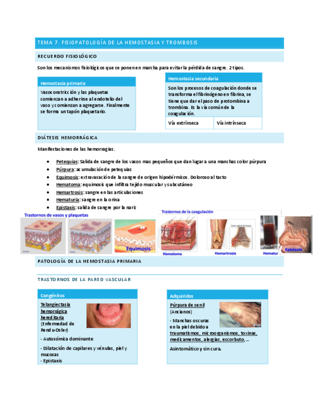 Miniatura del documento Tema-7-fisiopatologia.pdf