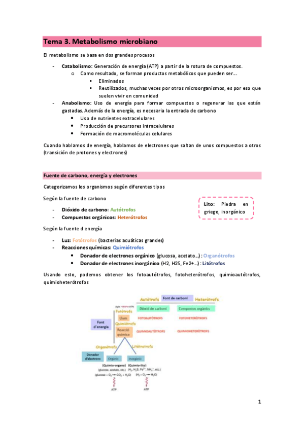 Miniatura del documento T3-MIC-Metabolismo-microbiano.pdf