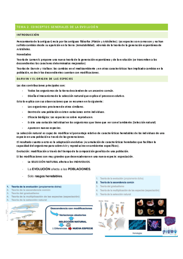 Miniatura del documento TEMA-2.pdf