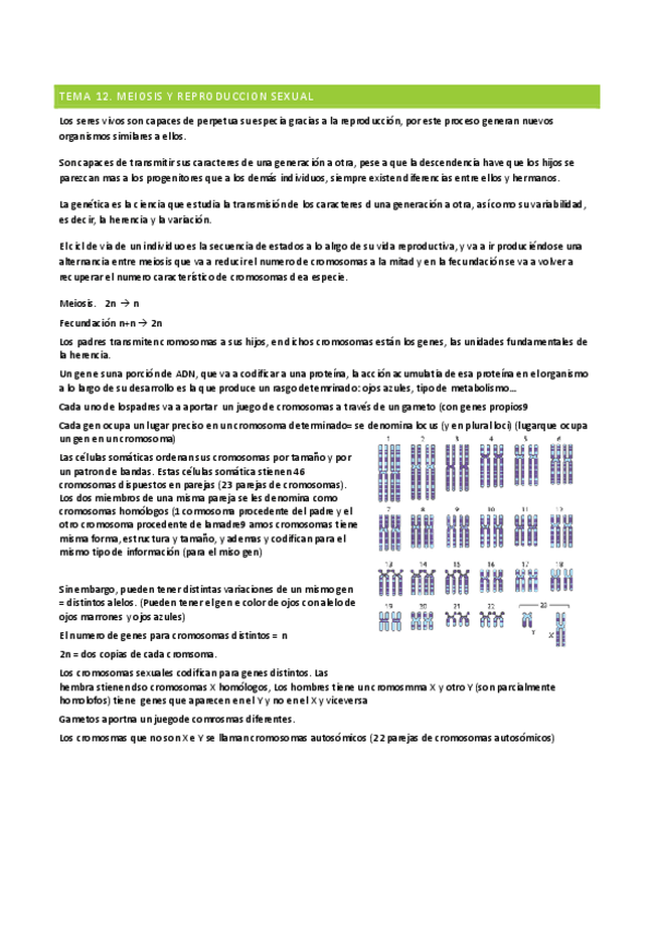 Miniatura del documento TEMA-12.pdf