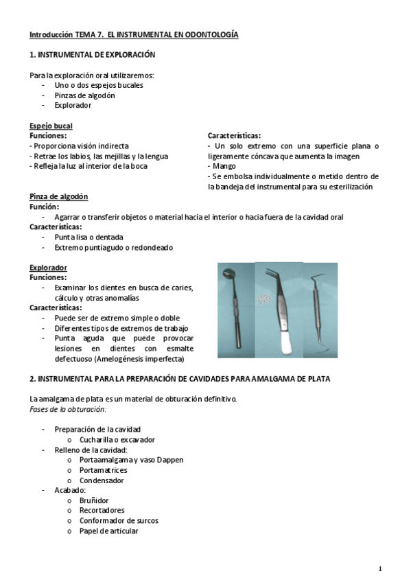 Miniatura del documento Introduccion-Tema-7.pdf