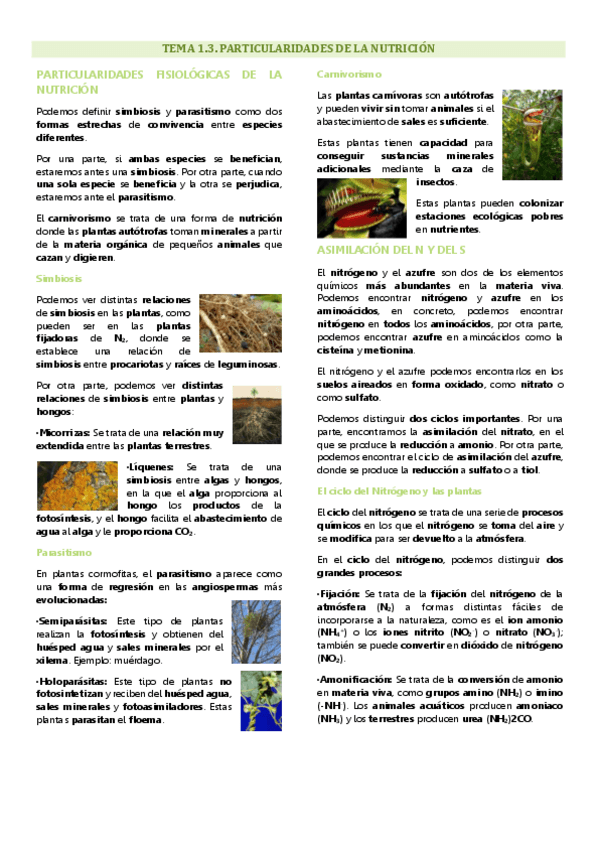Miniatura del documento Tema 1.3 Fisiología vegetal. Particularidades de la nutrición.pdf