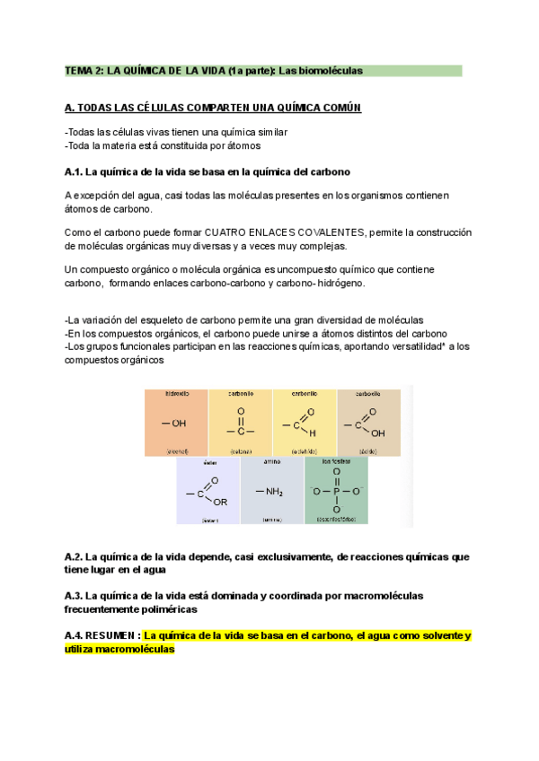 Miniatura del documento TEMA-2-LA-QUIIMICA-DE-LA-VIDA-1a-parte-Las-biomoleIculas.pdf