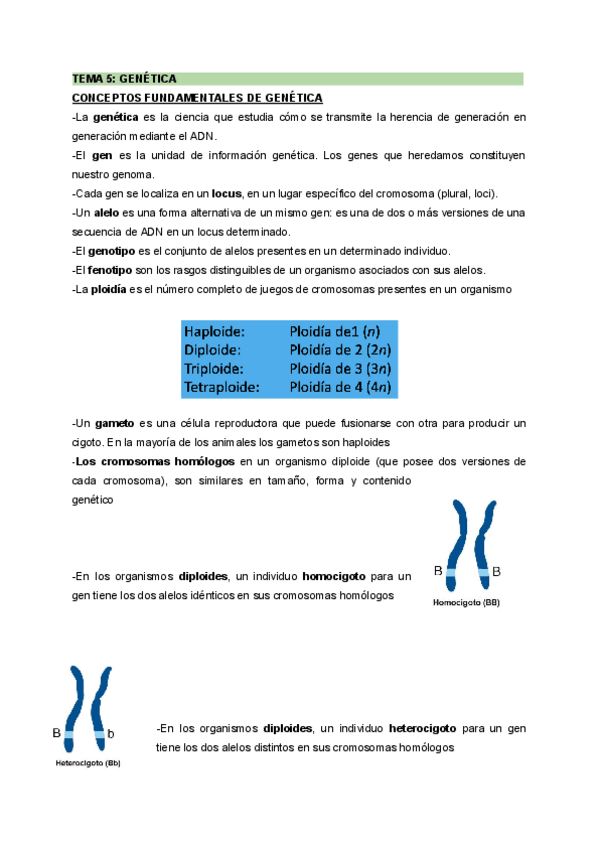Miniatura del documento TEMA-5-GENEITICA.pdf