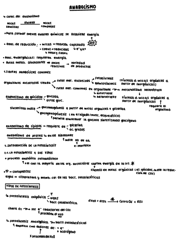 Miniatura del documento ESQUEMA-ANABOLISMO-Y-REPLICACION-DEL-ADN.pdf