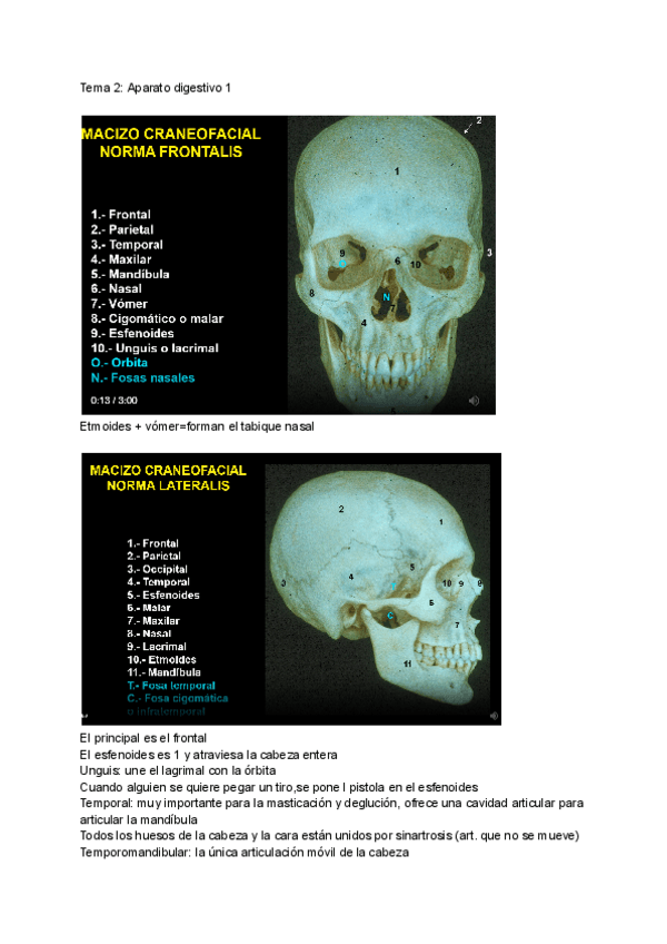 Miniatura del documento A.-Humana-tema-2-Aparato-digestivo-1.pdf