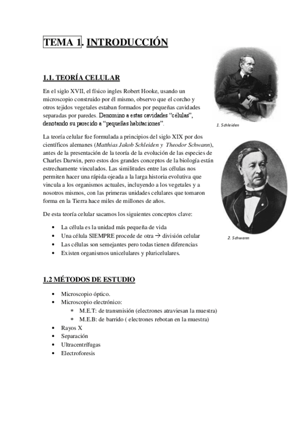 Miniatura del documento TEMA 1.pdf