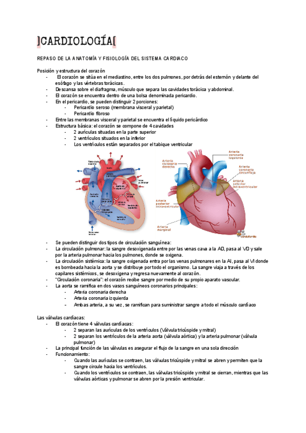 Miniatura del documento cardio.pdf
