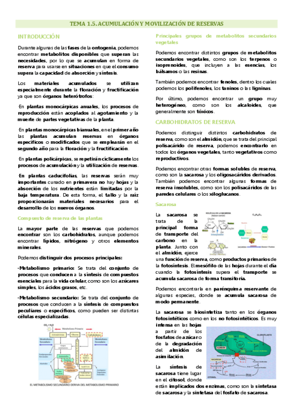 Miniatura del documento Tema 1.5 Fisiología vegetal. Acumulación y movilización de reservas.pdf