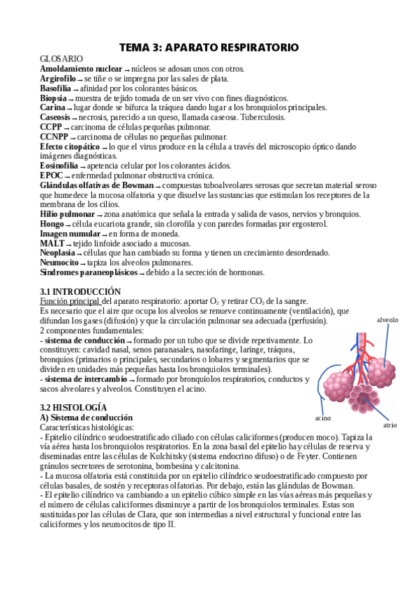Miniatura del documento tema-3.-aparato-respiratorio.pdf