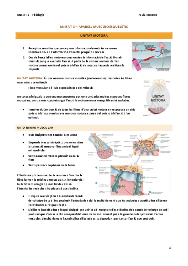 Miniatura del documento UNITAT-3-Fisiologia.pdf