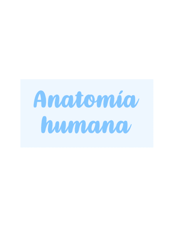Miniatura del documento Apuntes-Anatomia-Humana.pdf