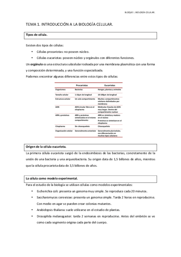 Miniatura del documento BLOQUE I BIOLOGÍA CELULAR. (TEMAS 1-11)..pdf