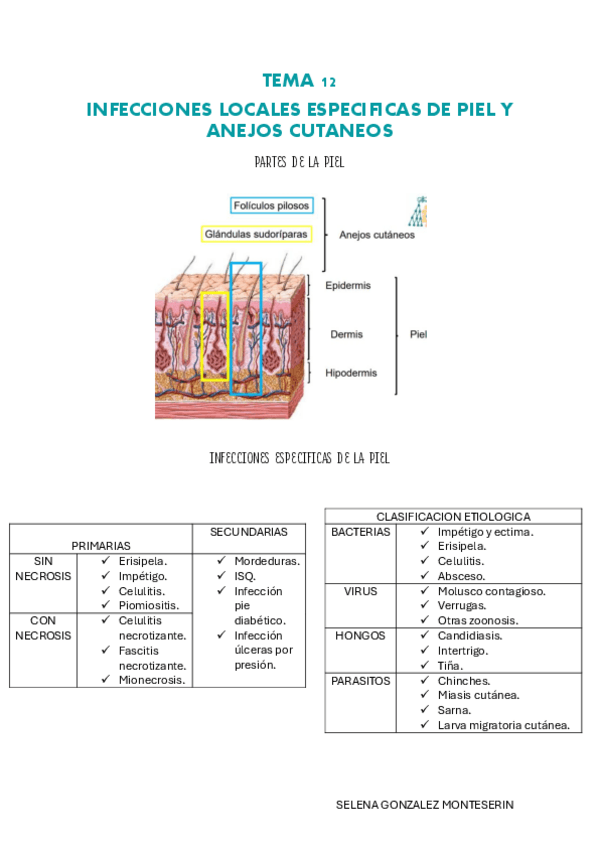 Miniatura del documento TEMA-12-pdf.pdf