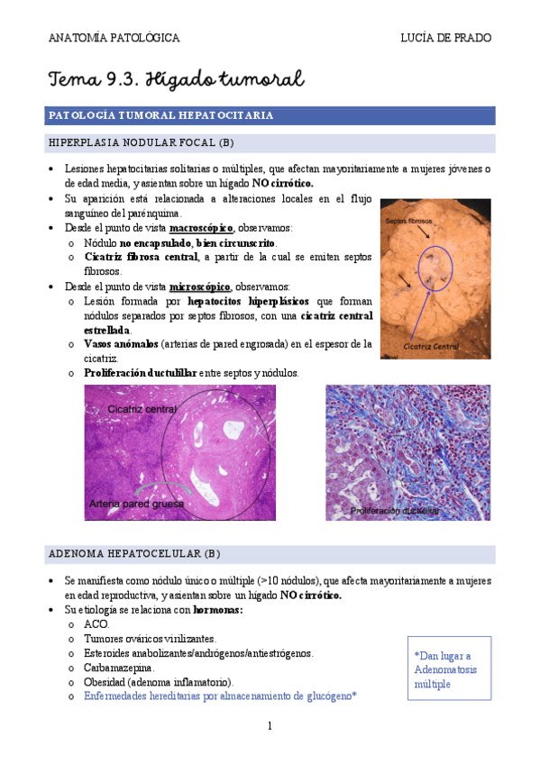 Miniatura del documento Higado-tumoral.pdf