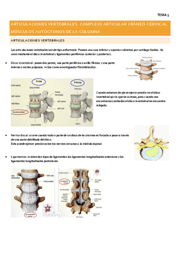 Miniatura del documento TEMA-5.pdf