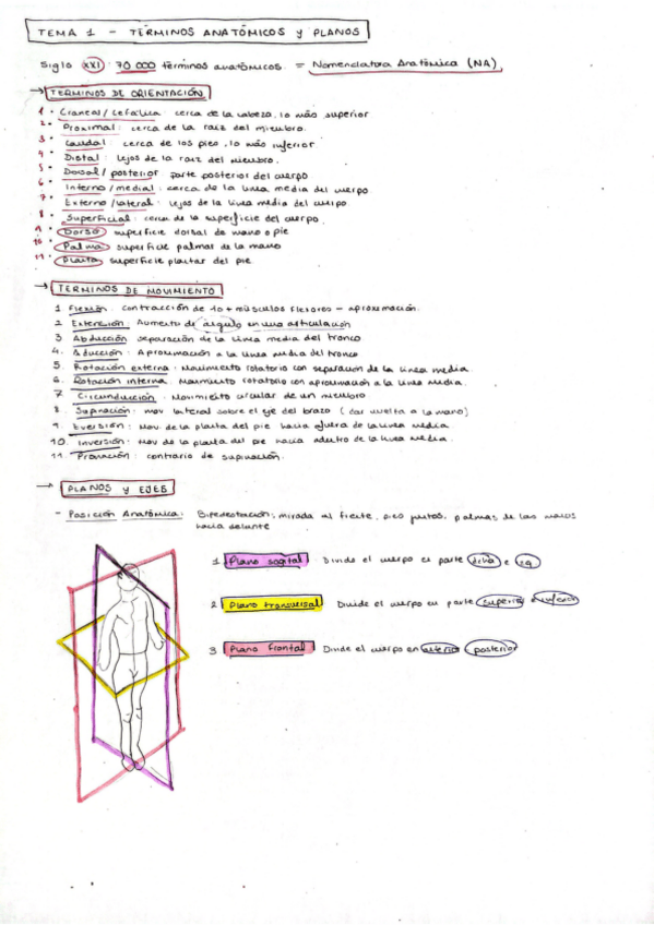 Miniatura del documento Tema-1-Anatomia-General-M.Carmen.pdf