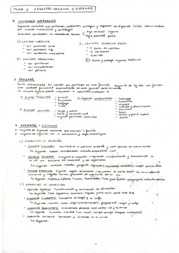 Miniatura del documento Tema-2-Anatomia-General-M.Carmen.pdf