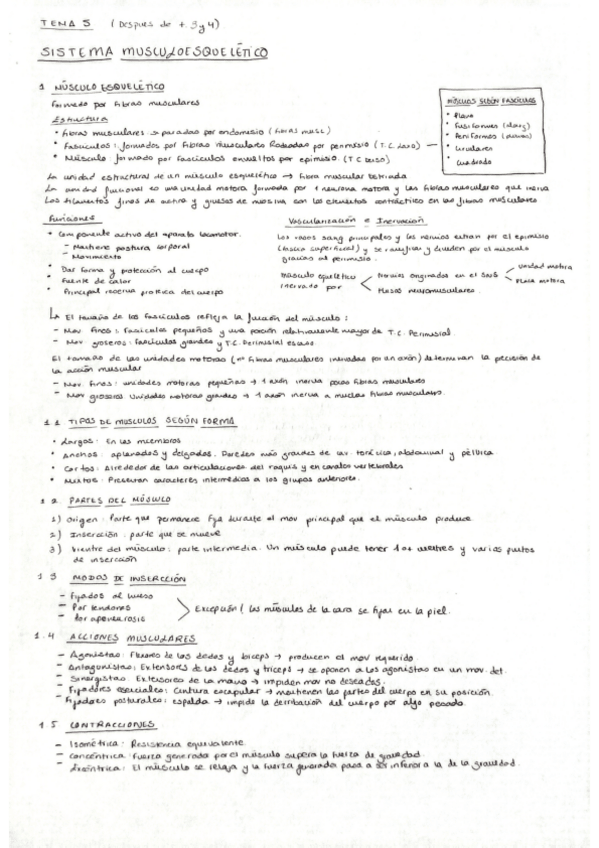 Miniatura del documento Tema-5-Anatomia-General-M.Carmen.pdf