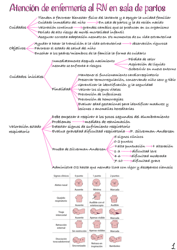 Miniatura del documento atencion-De-Enfermeria-Al-RN-en-Sala-De-partos.pdf