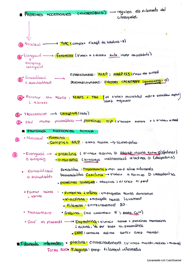 Miniatura del documento resumen-proteinas-biologia.pdf