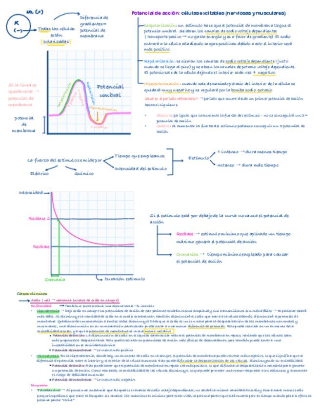 Miniatura del documento Practica-1-FISIO.pdf