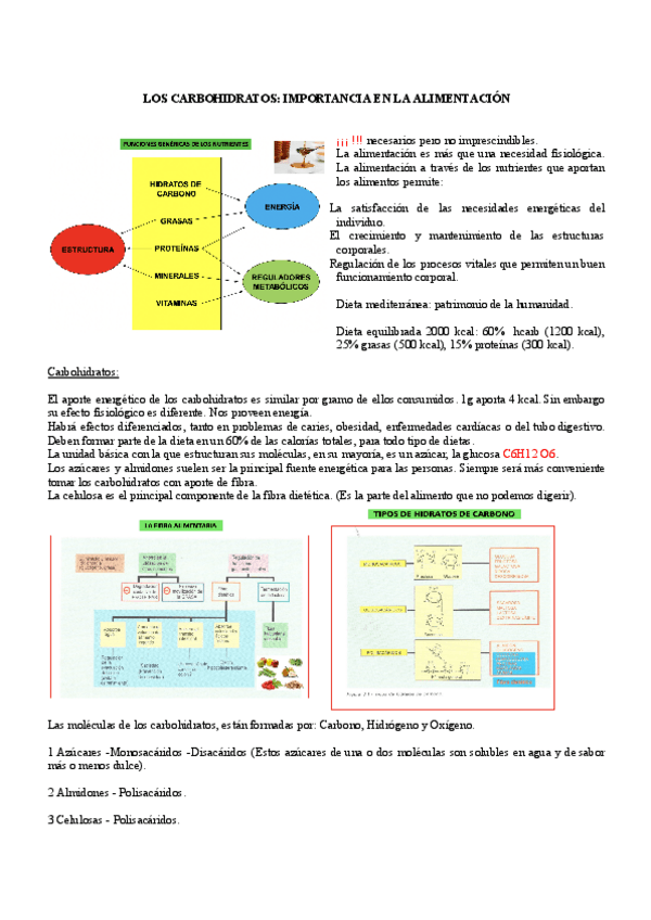 Miniatura del documento HIDRATOS-DE-CARBONO-2.pdf