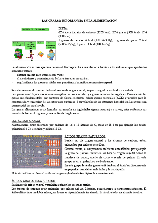 Miniatura del documento LAS-GRASAS-IMPORTANCIA-EN-LA-ALIMENTACION-2.pdf