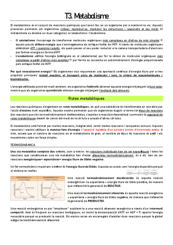 Miniatura del documento T3.-Metabolisme.pdf