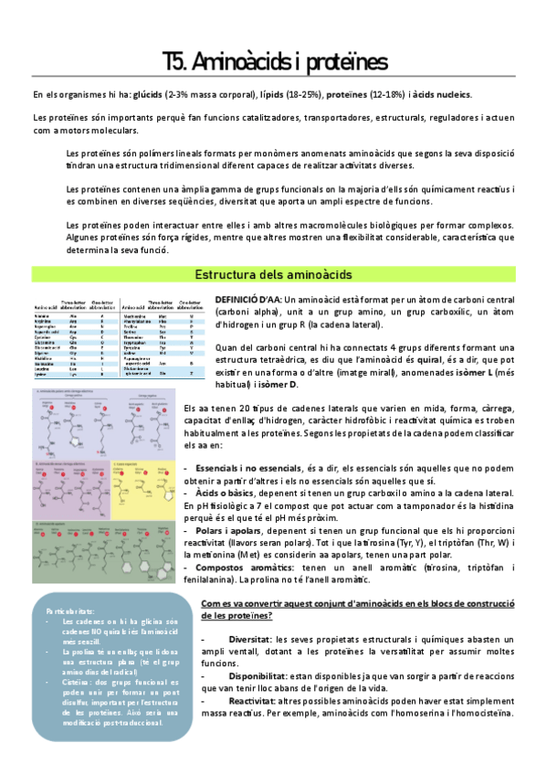 Miniatura del documento T5.-Aminoacids-i-proteines.pdf