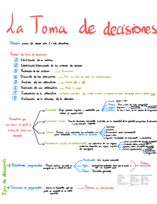 Miniatura del documento La-Toma-de-Decisiones.pdf