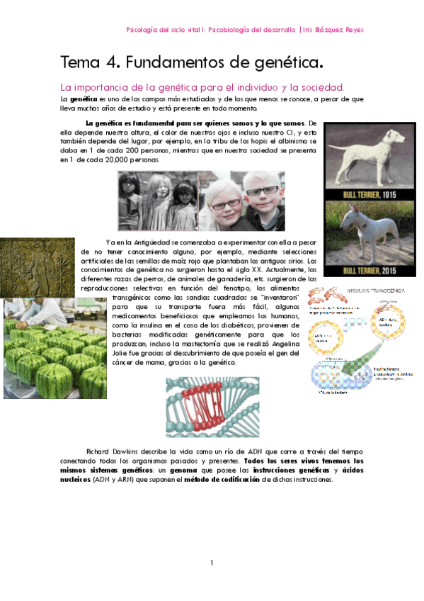 Miniatura del documento TEMA 4. FUNDAMENTOS DE GENÉTICA.pdf
