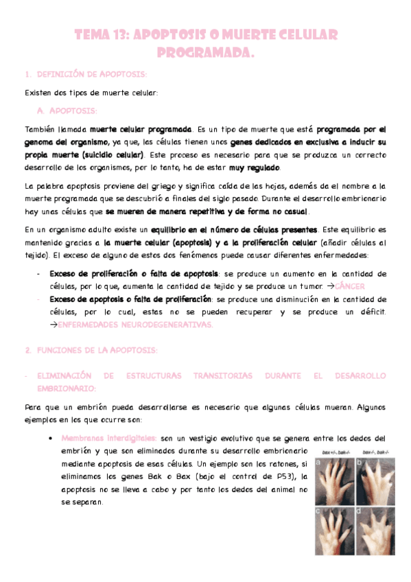 Miniatura del documento T13-Muerte-celular.pdf