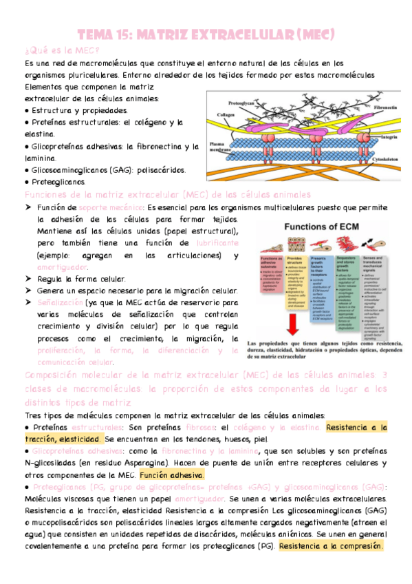 Miniatura del documento T15.-MEC.pdf