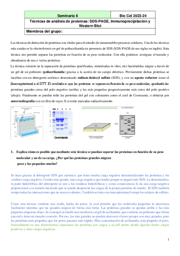 Miniatura del documento Seminario-6.pdf