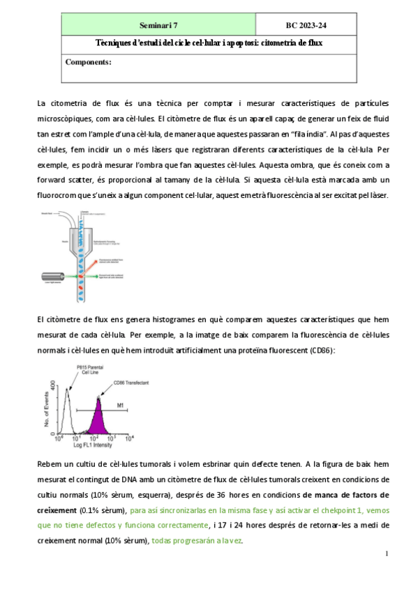 Miniatura del documento Seminario-7.pdf