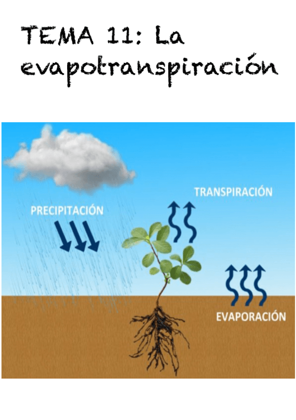 Miniatura del documento Tema-11.pdf