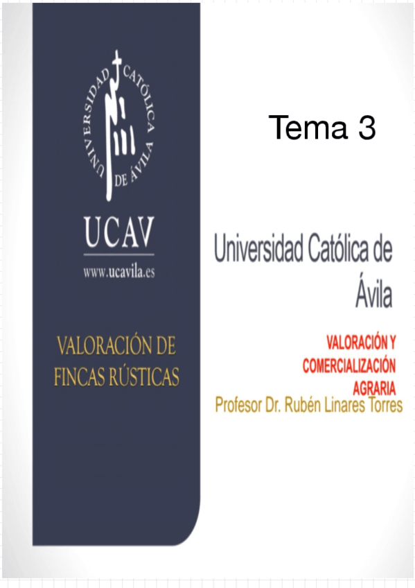 Miniatura del documento Tema-3.pdf