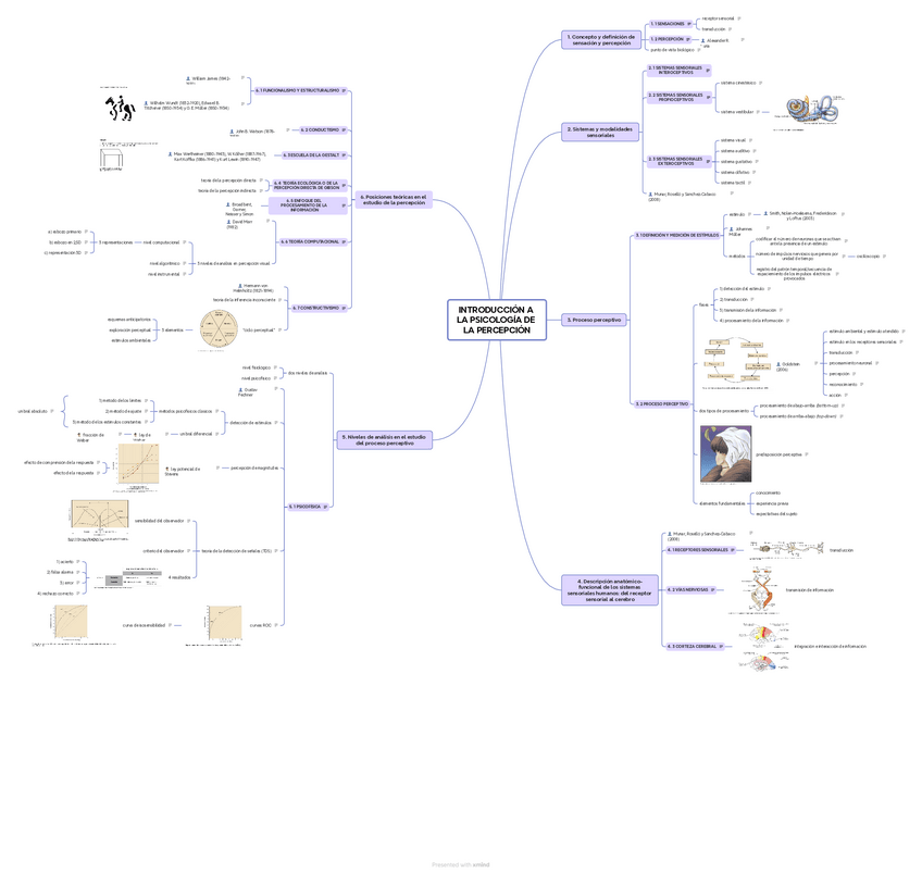 Miniatura del documento Introduccion-a-la-psicologia-de-la-percepcion.pdf