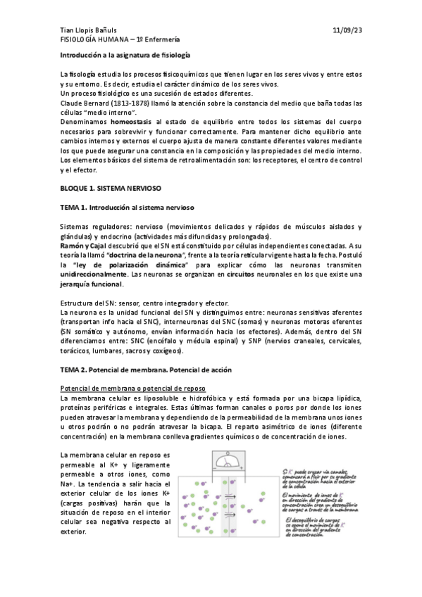 Miniatura del documento Completo.pdf