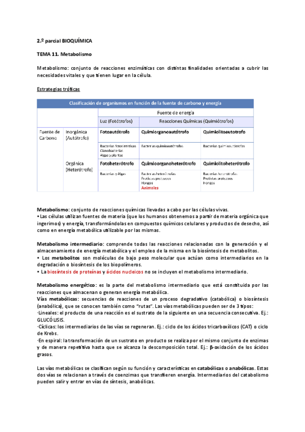 Miniatura del documento Temas-11-19-2o-parcial.pdf
