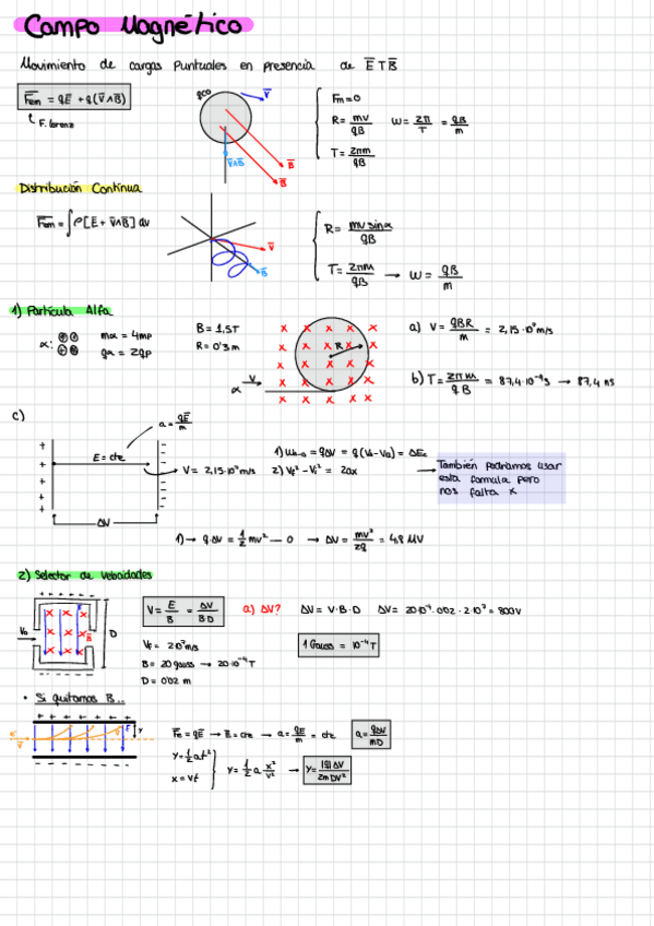 Miniatura del documento CAMPO-MAGNETICO.pdf