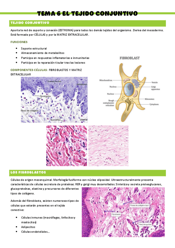 Miniatura del documento HISTOLOGIA-T6.pdf